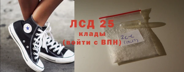 индика Абаза