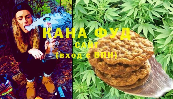 индика Абаза