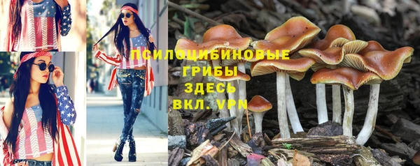 мескалин Абдулино