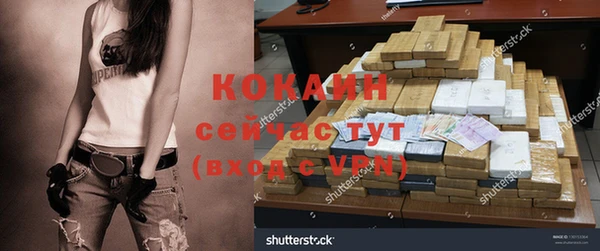 индика Абаза