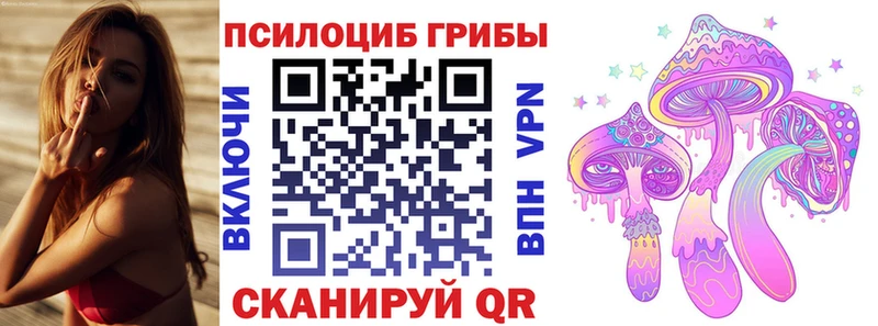 Псилоцибиновые грибы мицелий  Осташков 