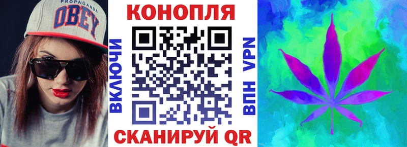 цена   Осташков  Канабис гибрид 
